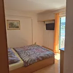 Mira سوبيتارسكا دراغا