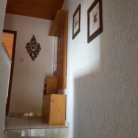Mira Guest house 3*